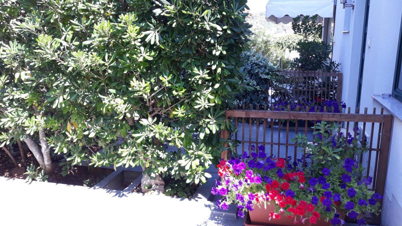 Apartments Suljic - Cash Only Property Stari Grad  Exterior foto